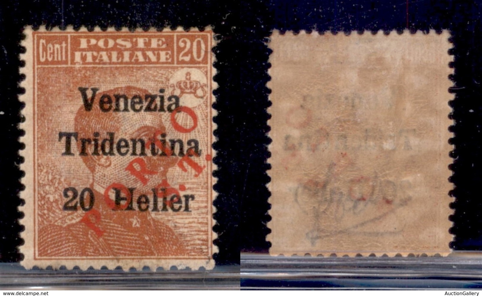 OCCUPAZIONI - BOLZANO 3 - 1919 - Porto S.T. Su 20 Heller Su 20 Cent (132) - Gomma Originale - Andere & Zonder Classificatie
