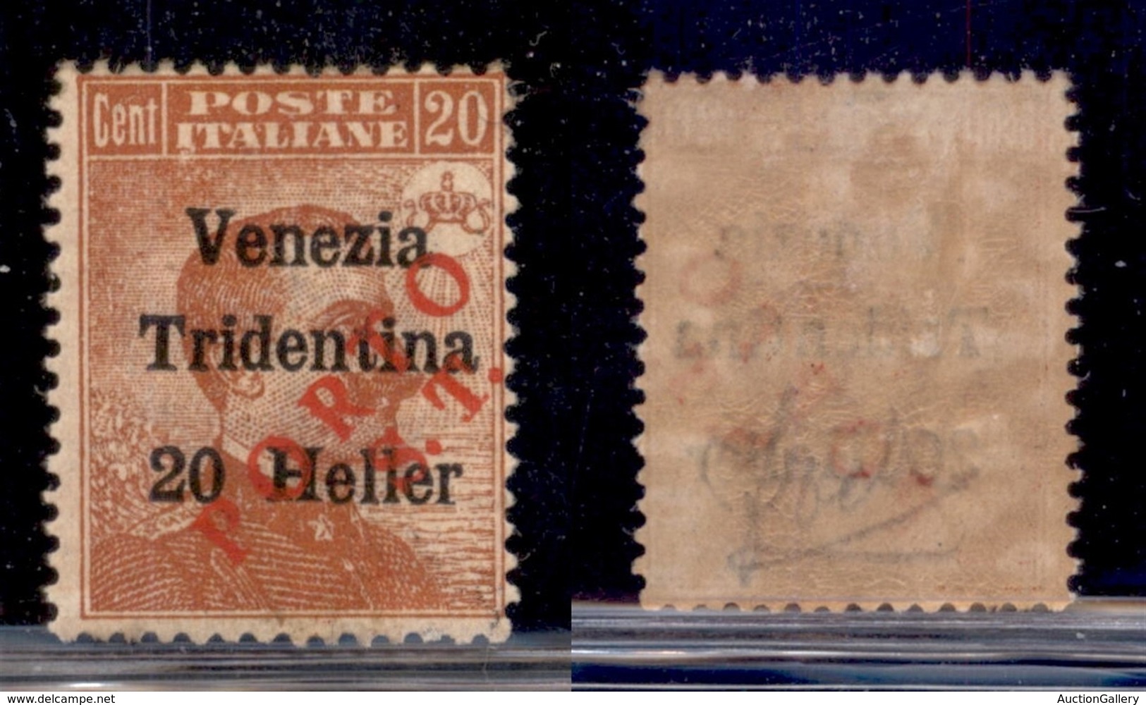 OCCUPAZIONI - BOLZANO 3 - 1919 - Porto S.T. Su 20 Heller Su 20 Cent (132) - Gomma Originale - Autres & Non Classés