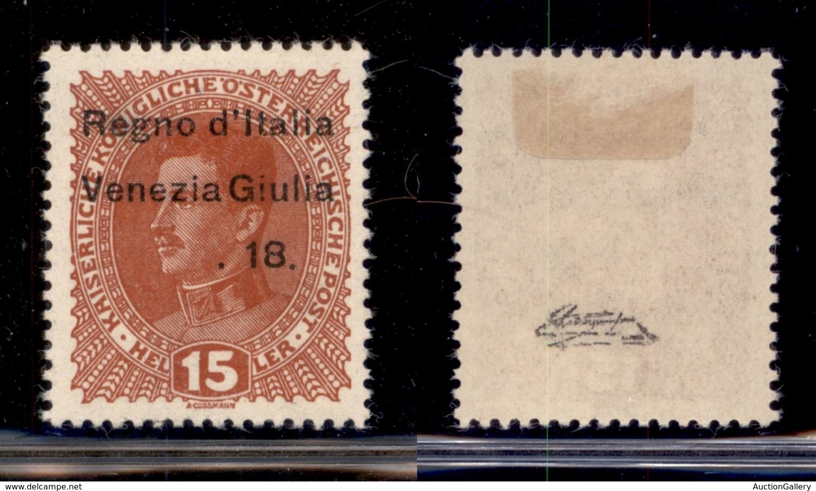 OCCUPAZIONI - VENEZIA GIULIA - 1918 - 15 Heller (6t) Senza 3.XI - Gomma Originale (90) - Sonstige & Ohne Zuordnung