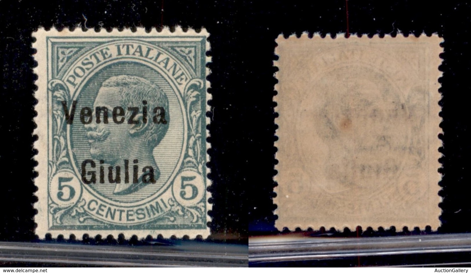 OCCUPAZIONI - VENEZIA GIULIA - 1918 - 5 Cent (21) - Gomma Integra (50) - Sonstige & Ohne Zuordnung