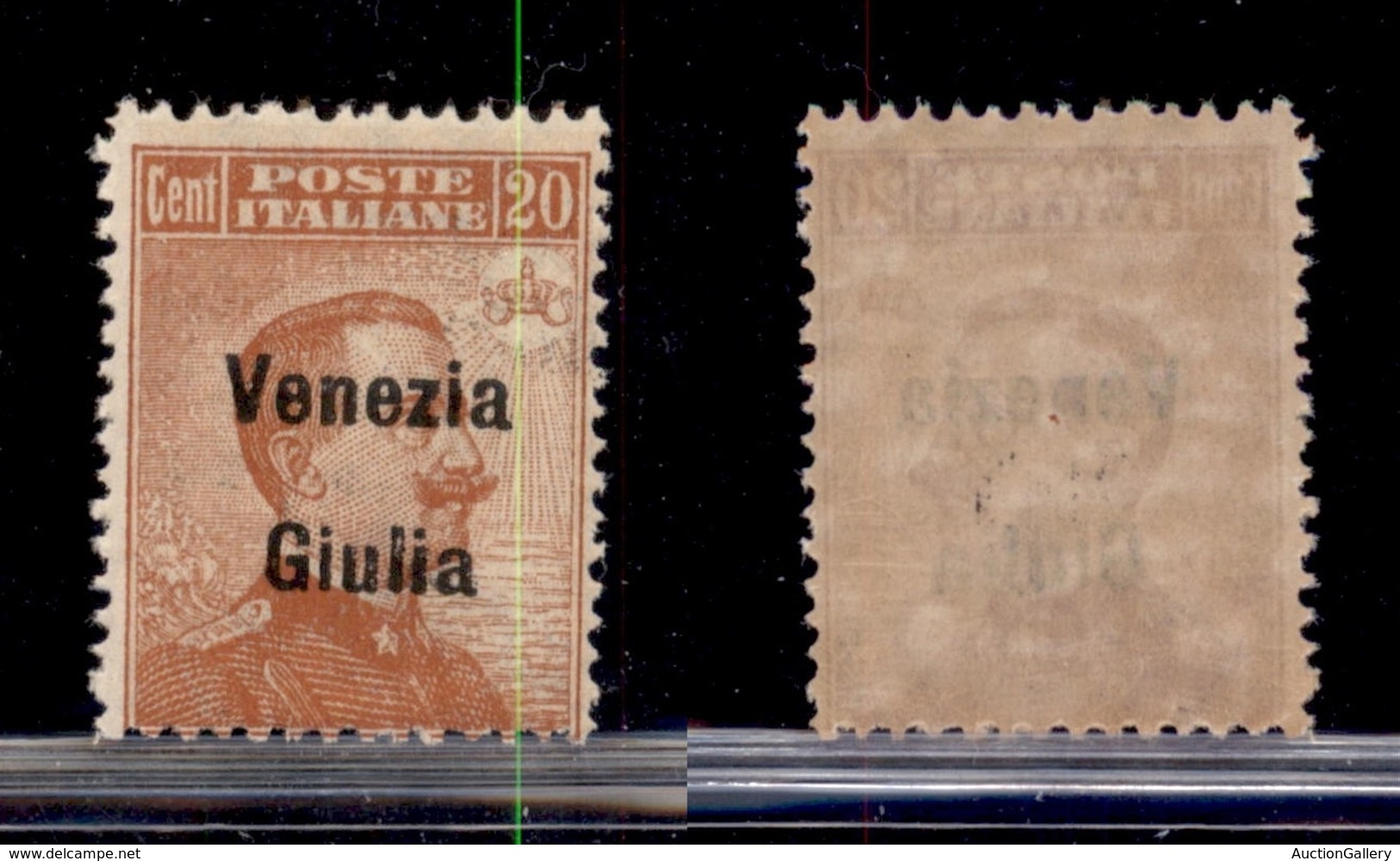 OCCUPAZIONI - VENEZIA GIULIA - 1918 - 20 Cent (23) - Gomma Integra (50) - Autres & Non Classés