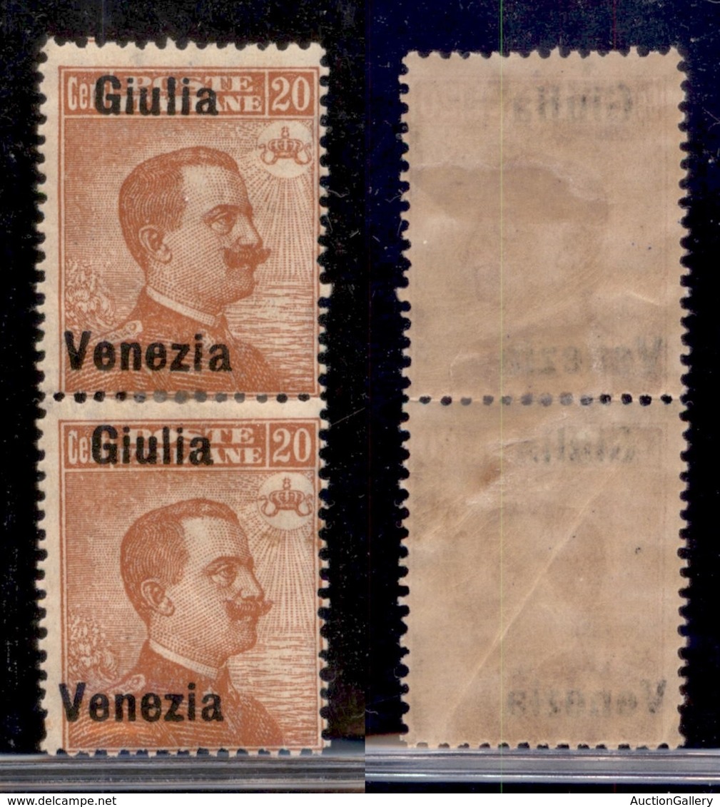 OCCUPAZIONI - VENEZIA GIULIA - 1918 - 20 Cent (23d) - Coppia Verticale Giulia Venezia - Gomma Originale (leggera Grinza  - Autres & Non Classés