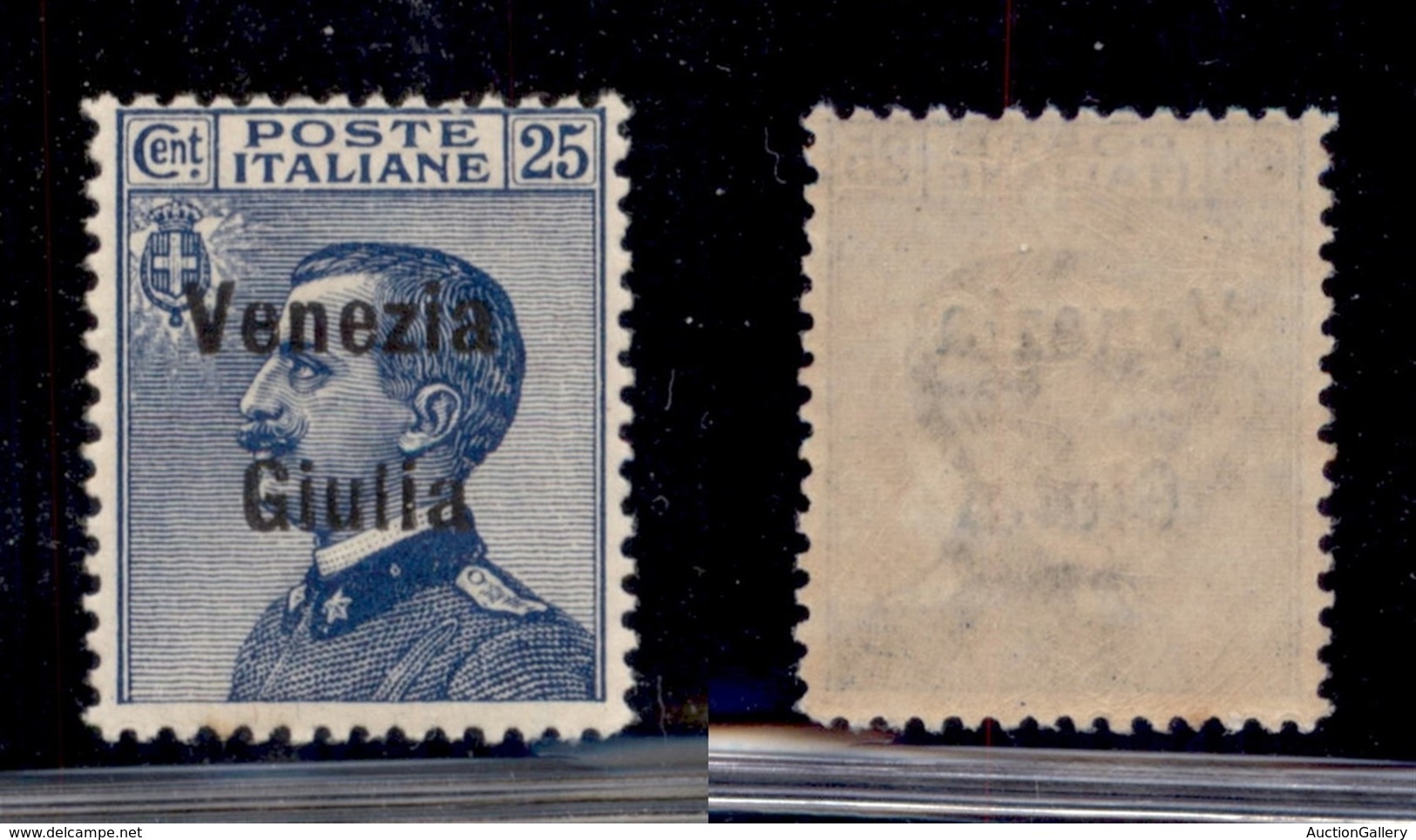 OCCUPAZIONI - VENEZIA GIULIA - 1918 - 25 Cent (24) - Gomma Integra (50) - Sonstige & Ohne Zuordnung