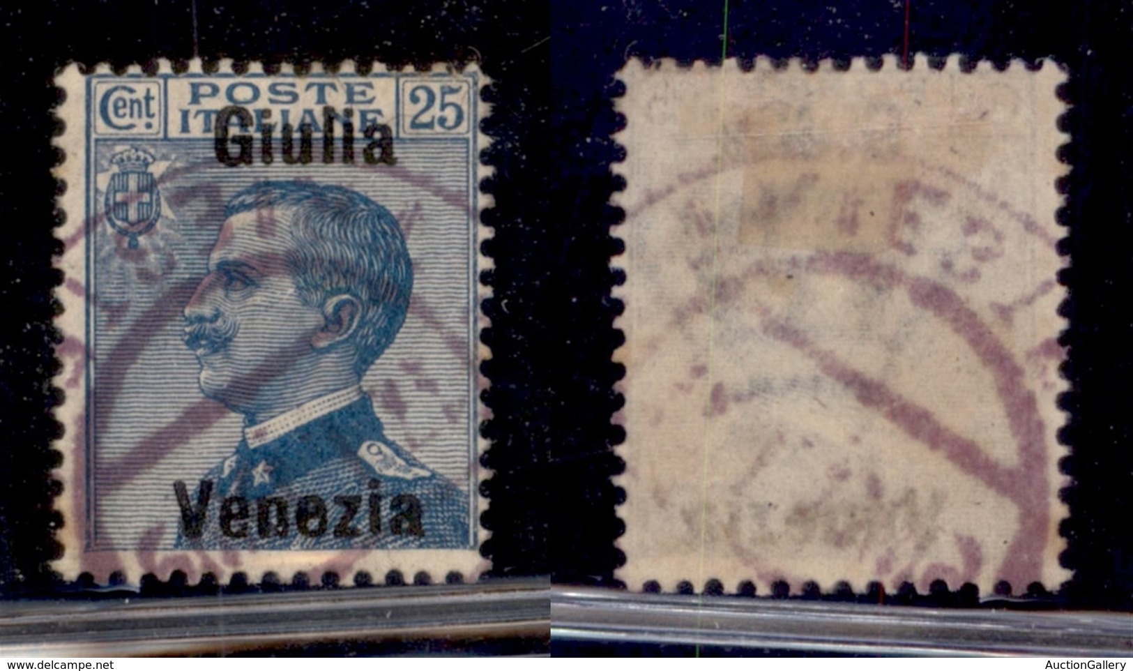 OCCUPAZIONI - VENEZIA GIULIA - 1918 - 25 Cent (24d) Usato - Giulia Venezia - Sonstige & Ohne Zuordnung