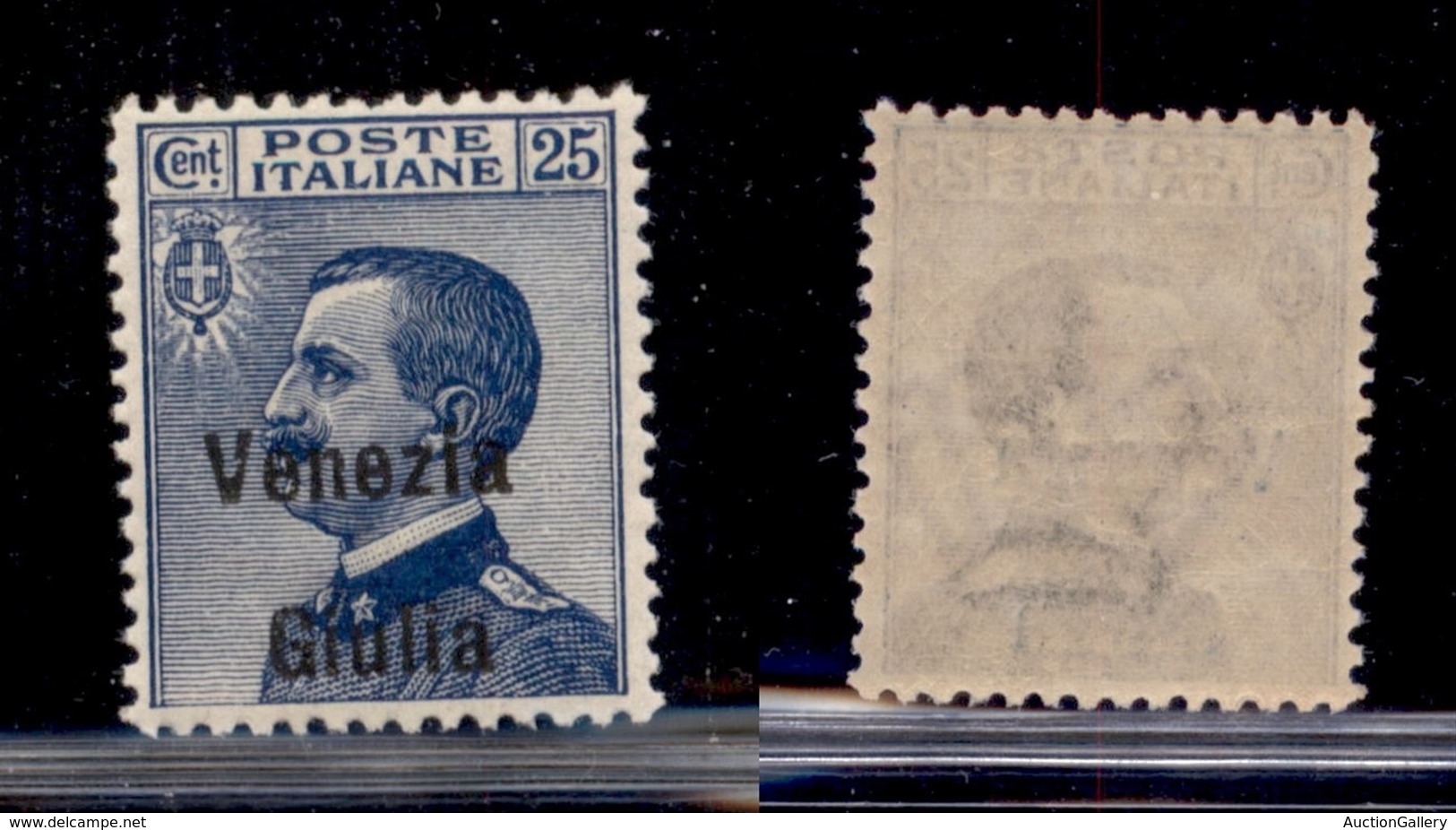 OCCUPAZIONI - VENEZIA GIULIA - 1918 - 25 Cent (24ea) Con Soprastampa In Basso - Gomma Integra (120) - Sonstige & Ohne Zuordnung