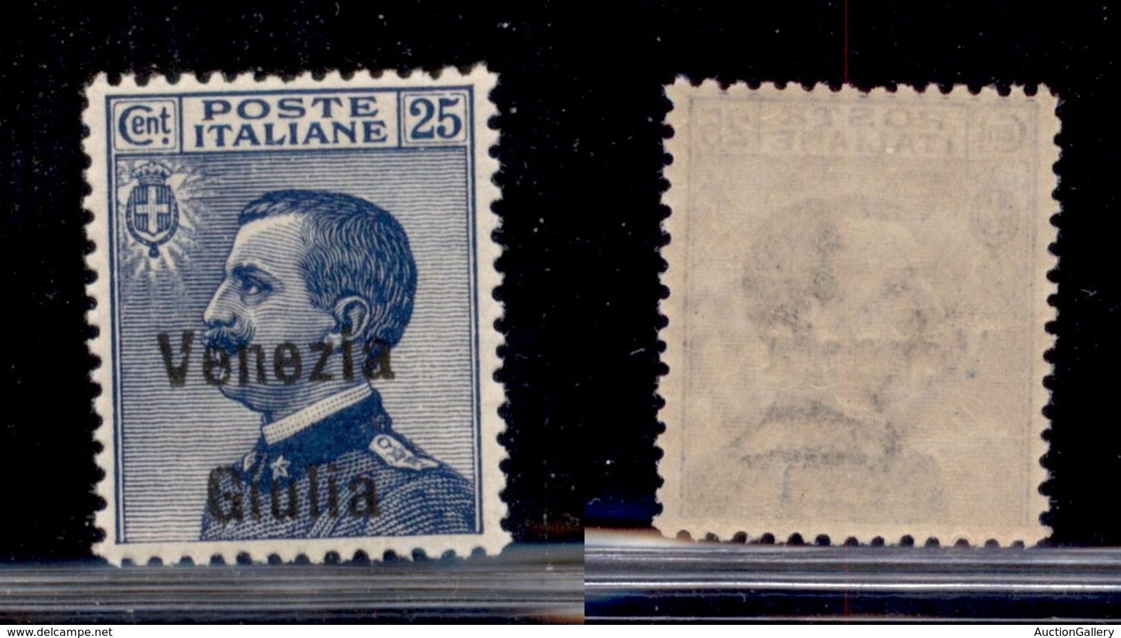 OCCUPAZIONI - VENEZIA GIULIA - 1918 - 25 Cent (24ea) Con Soprastampa In Basso - Gomma Integra (120) - Other & Unclassified