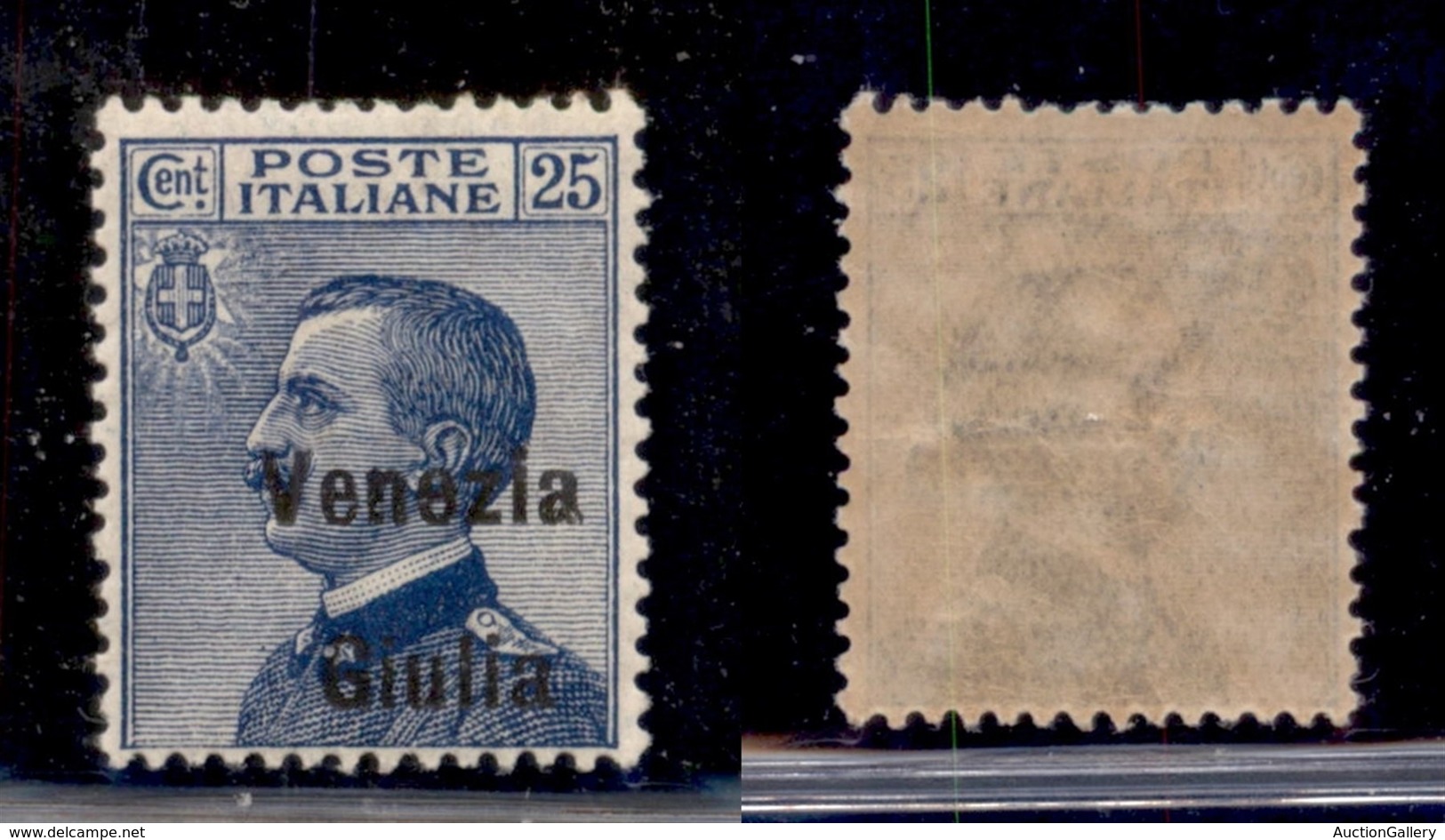 OCCUPAZIONI - VENEZIA GIULIA - 1918 - 25 Cent (24ea) Con Soprastampa In Basso A Destra - Gomma Integra - Sonstige & Ohne Zuordnung