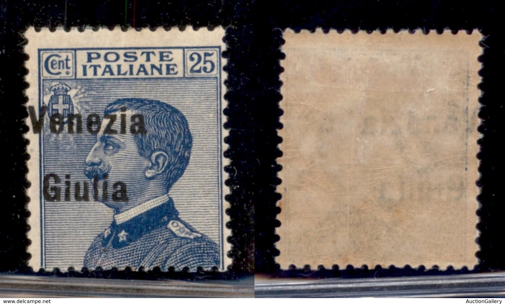 OCCUPAZIONI - VENEZIA GIULIA - 1918 - 25 Cent (24eafc) - Soprastampa A Sinistra - Gomma Originale - Autres & Non Classés