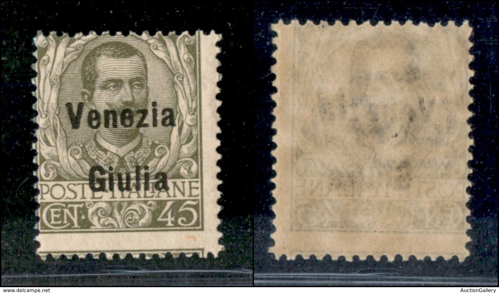 OCCUPAZIONI - VENEZIA GIULIA - 1918 - 45 Cent (26) - Gomma Integra - Other & Unclassified