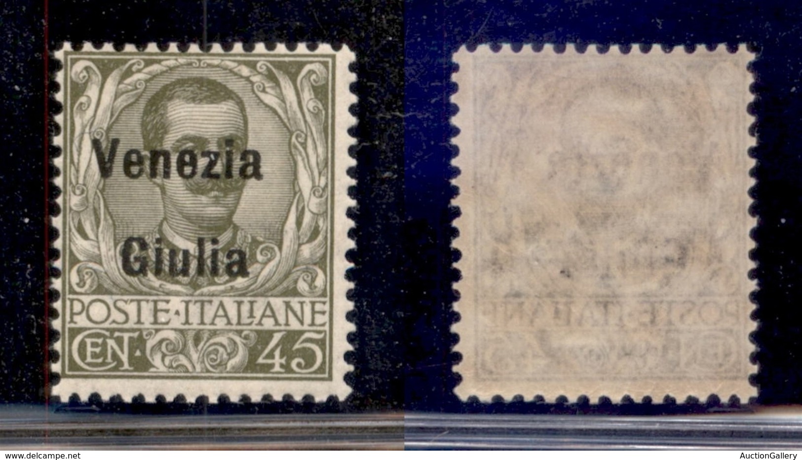 OCCUPAZIONI - VENEZIA GIULIA - 1918 - 45 Cent (26) - Gomma Integra (150) - Other & Unclassified