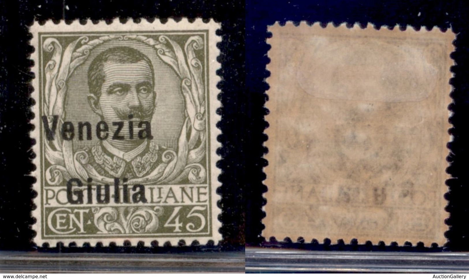 OCCUPAZIONI - VENEZIA GIULIA - 1918 - 45 Cent (26eafc) Con Soprastampa A Sinistra - Gomma Originale (200) - Other & Unclassified