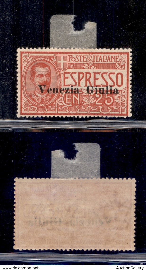 OCCUPAZIONI - VENEZIA GIULIA - 1919 - Espressi - 25 Cent  (1) - Gomma Originale Con Prima Linguella (250) - Sonstige & Ohne Zuordnung