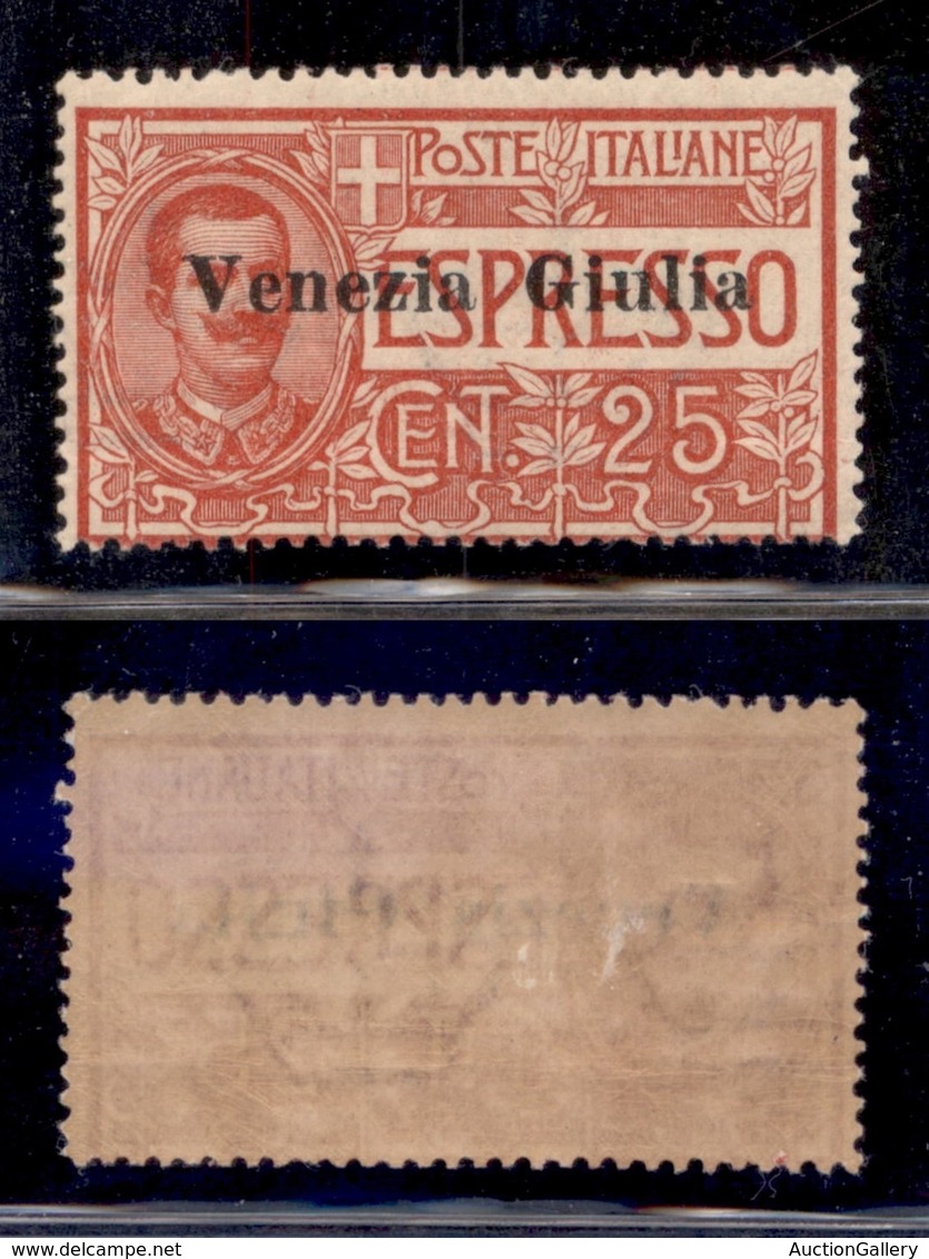 OCCUPAZIONI - VENEZIA GIULIA - 1919 - Espressi - 25 Cent (1) - Gomma Originale (250) - Other & Unclassified