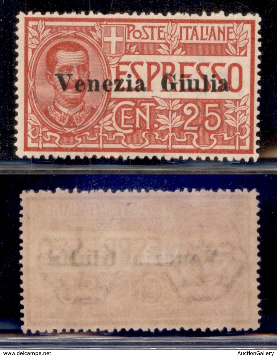 OCCUPAZIONI - VENEZIA GIULIA - 1919 - Espressi - 25 Cent (1) - Gomma Originale - Ottima Centratura - Autres & Non Classés