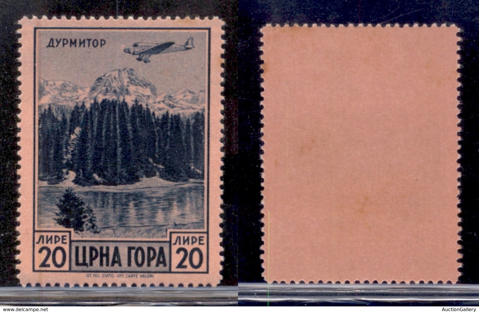 OCCUPAZIONI - MONTENEGRO - 1943 - 20 Lire Serto Della Montagna (31 - Aerea) - Gomma Integra (90) - Autres & Non Classés