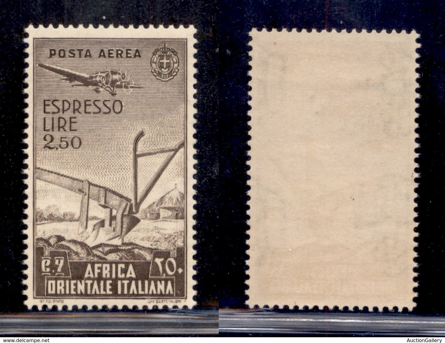 COLONIE - AFRICA ORIENTALE - 1938 - 2,50 Lire (13 - Espressi) - Gomma Integra (62+) - Andere & Zonder Classificatie