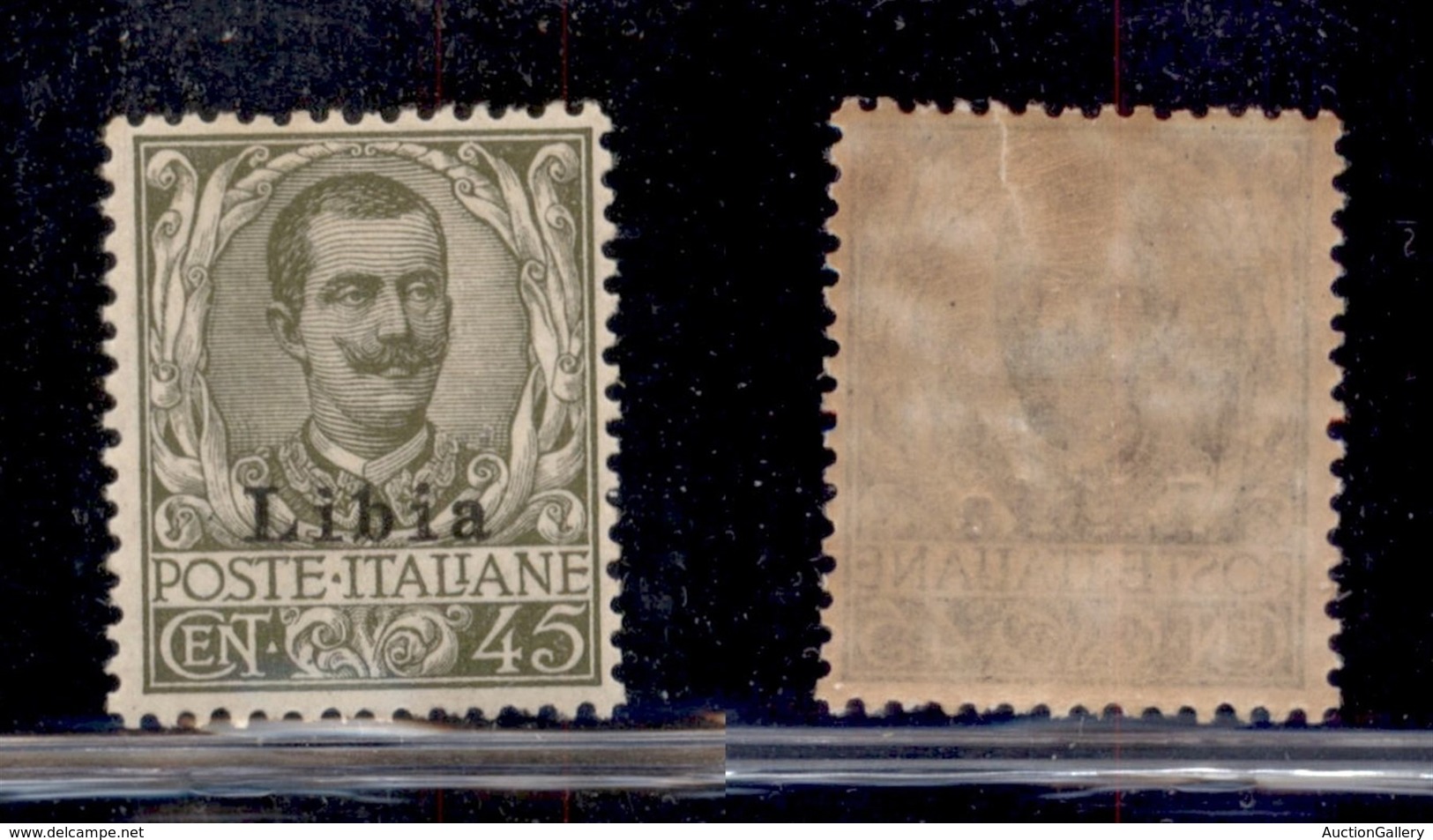 COLONIE - LIBIA - 1917 - 45 Cent (18) - Gomma Integra (162) - Sonstige & Ohne Zuordnung