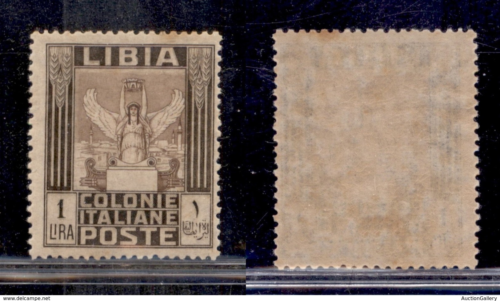 COLONIE - LIBIA - 1921 - 1 Lira (30) - Gomma Originale (160) - Other & Unclassified