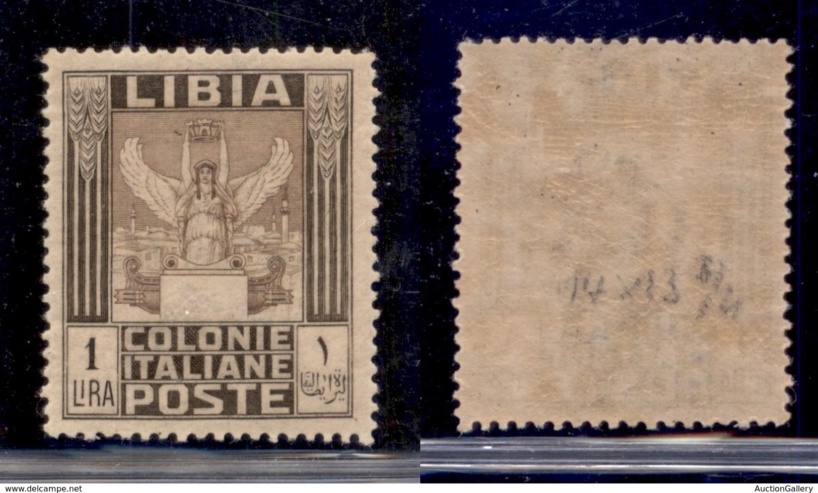 COLONIE - LIBIA - 1921 - 1 Lira (30) Gomma Integra (400) - Other & Unclassified