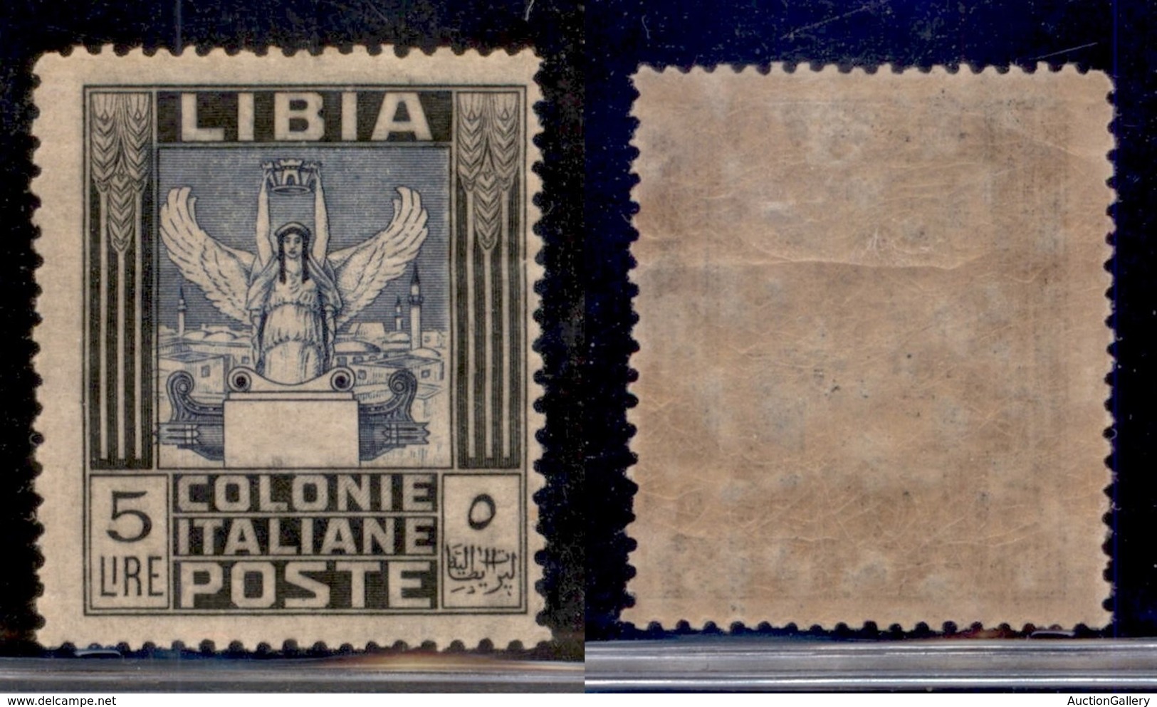 COLONIE - LIBIA - 1921 - 5 Lire (31x) Senza Filigrana - Gomma Originale (125) - Sonstige & Ohne Zuordnung