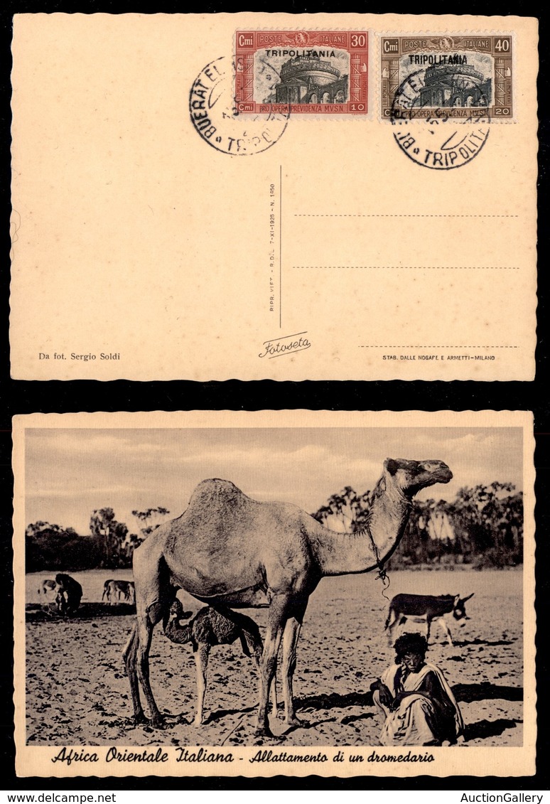 COLONIE - TRIPOLITANIA - Milizia - 2 Valori (39 + 50) Usati A Buerat Il 15.5.31 Su Cartolina - Andere & Zonder Classificatie