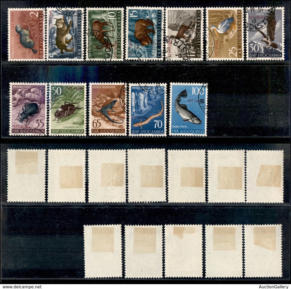 AMGVG - TRIESTE - LITORALE - TRIESTE B - 1954 - Animali (101/112) - Serie Completa Usata (165) - Sonstige & Ohne Zuordnung