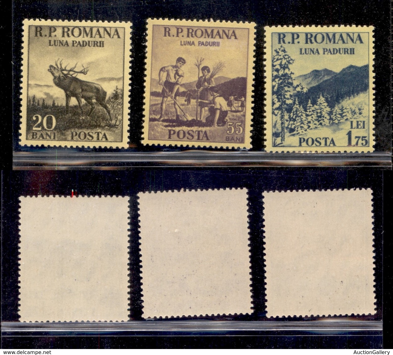 EUROPA - ROMANIA - 1954 - Luna Paduri (1464/1466) - Serie Completa - Gomma Integra - Autres & Non Classés