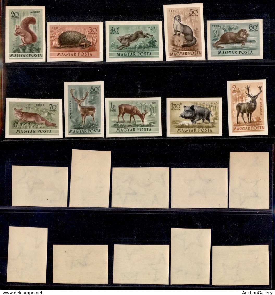 EUROPA - UNGHERIA - 1953 - Fauna (1285/1294) - Serie Completa - Non Dentellati - Gomma Integra - Other & Unclassified