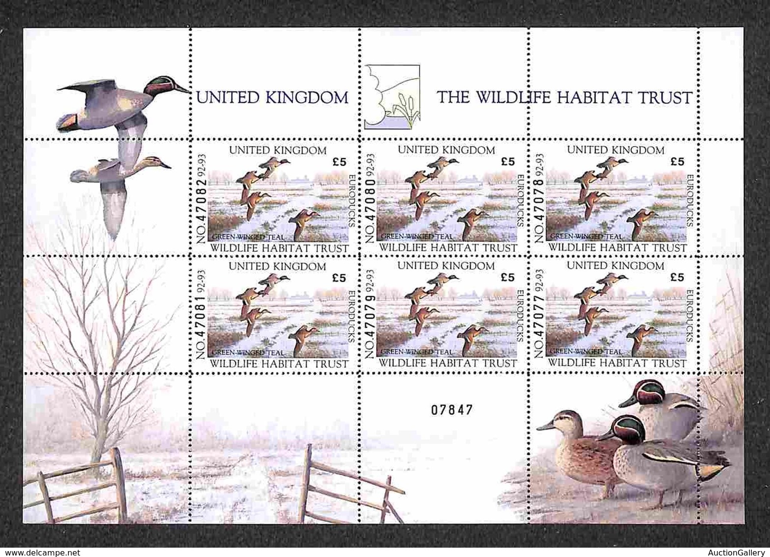 EUROPA - UNITED KINGDOM - 1992/93 - Minifoglio “The Wildlife Habitat Trust” Green Winged Teal - Gomma Integra - Andere & Zonder Classificatie