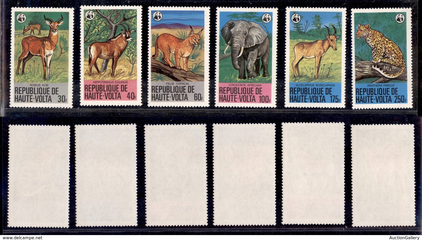 OLTREMARE - BURKINA FASO - 1979 - Animali (760/765) - Serie Completa - Gomma Integra - Other & Unclassified