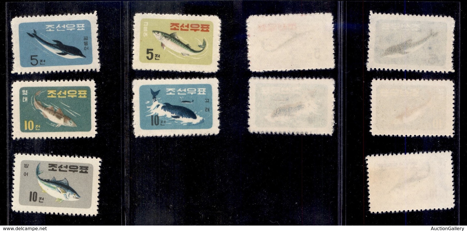 OLTREMARE - COREA DEL NORD - 1961 - Pesci E Balene (293/297) - Serie Completa - Sempre Senza Gomma - Sonstige & Ohne Zuordnung