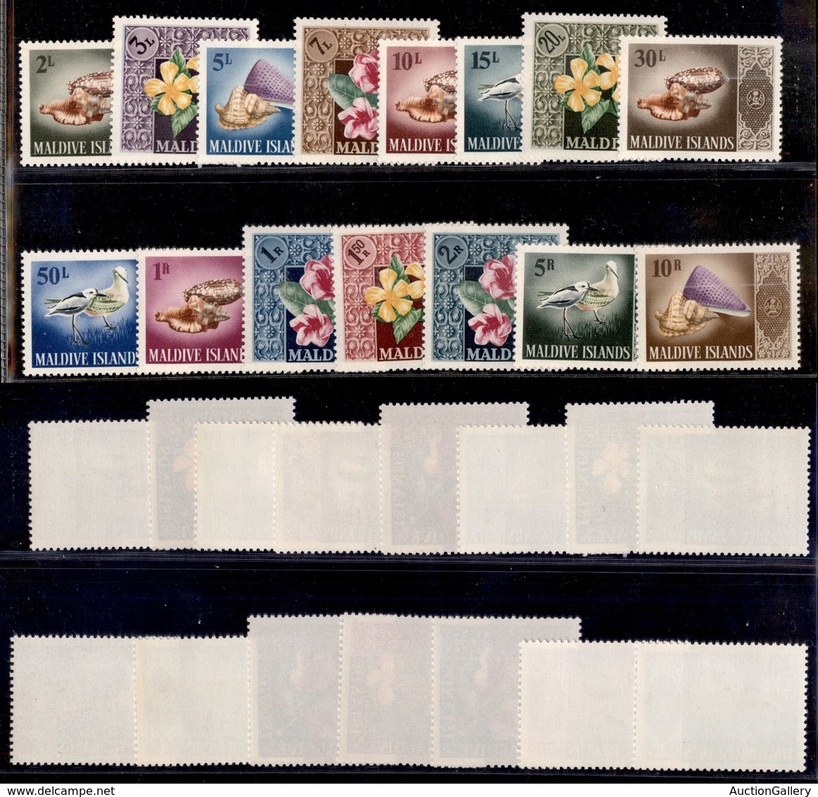 OLTREMARE - MALDIVE - 1966 - Flora E Fauna (172/186) - Serie Completa - Gomma Integra (95) - Otros & Sin Clasificación