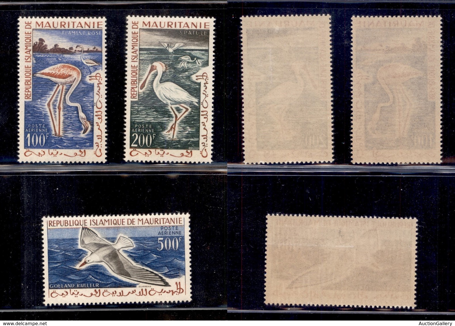 OLTREMARE - MARTINIQUE - 1961 - Uccelli (178/180) - Serie Completa - Gomma Integra - Other & Unclassified