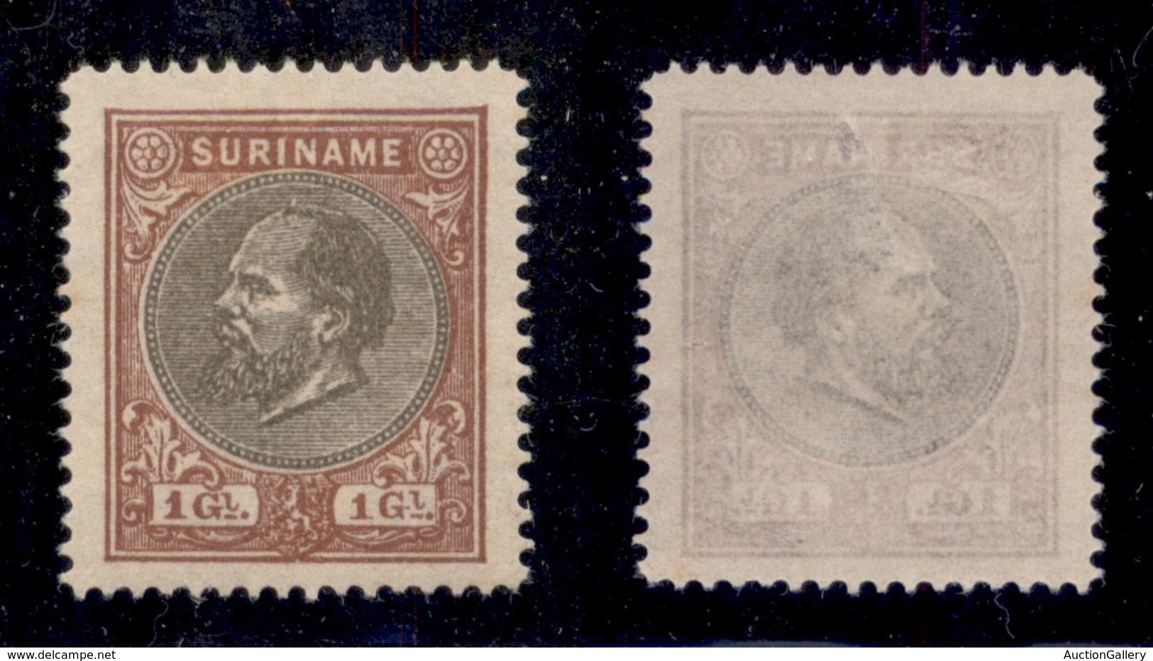 OLTREMARE - SURINAME - 1889 - 1 Gulden Guglielmo III(21) - Sempre Senza Gomma (75) - Sonstige & Ohne Zuordnung