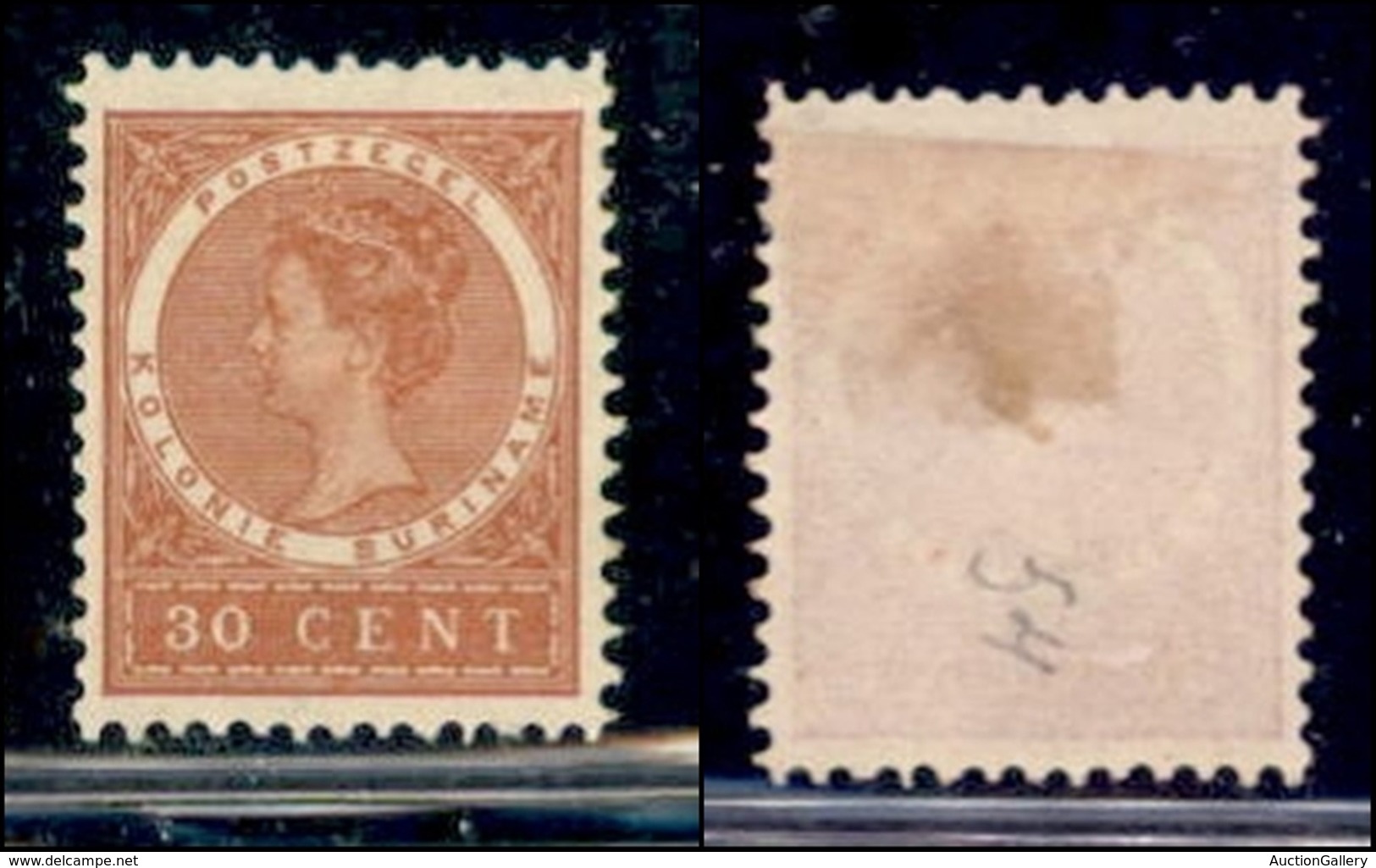 OLTREMARE - SURINAME - 1907 - 30 Cent (60) - Gomma Originale - Other & Unclassified
