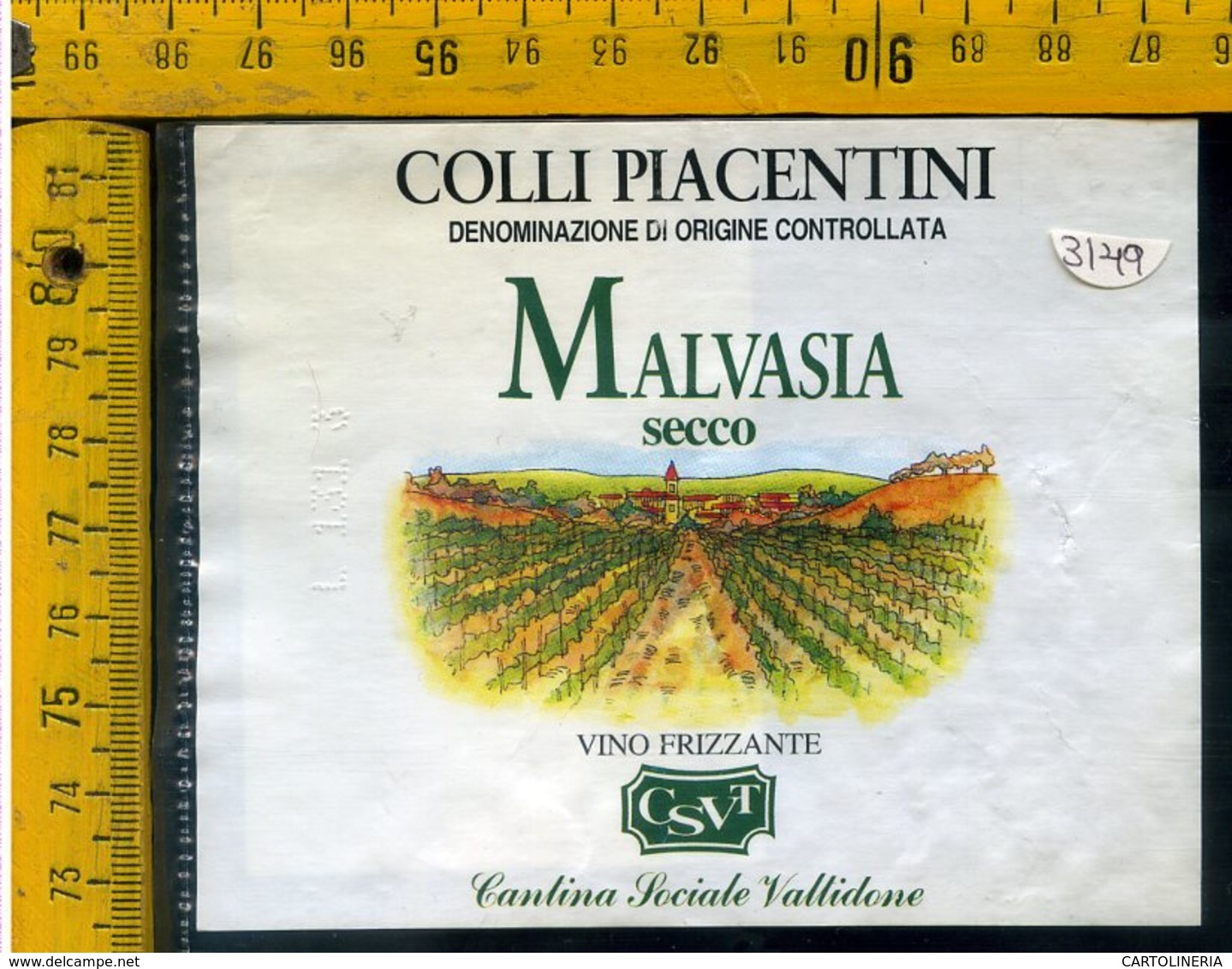 Etichetta Vino Liquore Malvasia Secco 1992 C. Piacentini Valtidone - Altri & Non Classificati