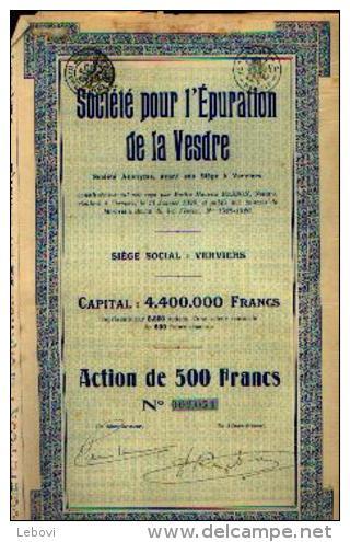 VERVIERS  “Société Pour L’épuration De La VESDRE Sa” - Action De 500 Fr (1929) - Autres & Non Classés