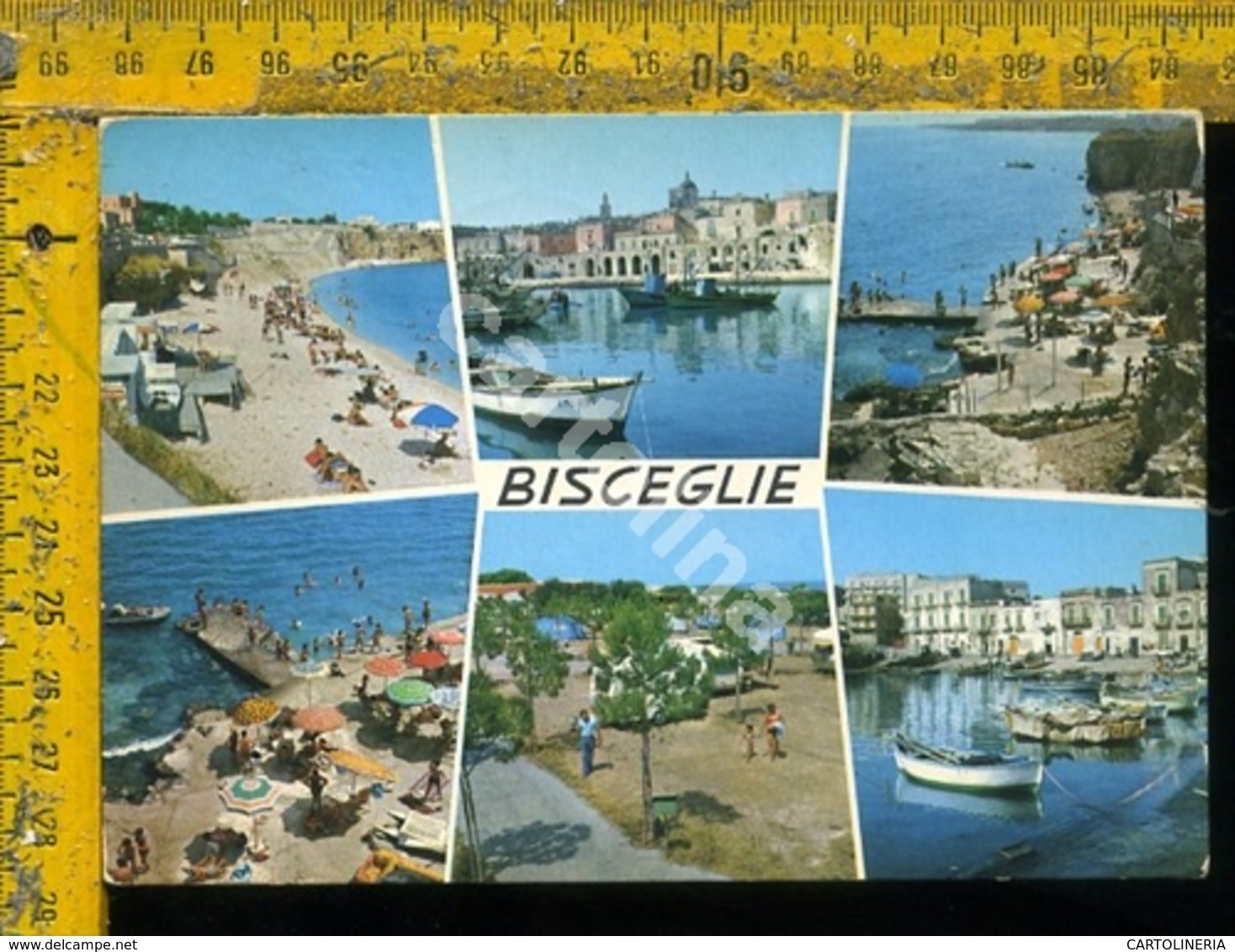 Bisceglie Città - Bisceglie