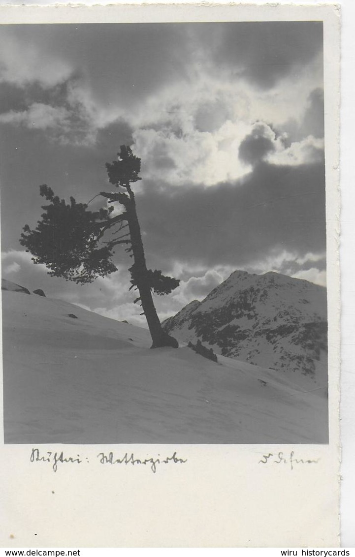 AK 0153  Kühtai - Wetterzirbe / Fotokunst Defner Ca. Um 1930 - Imst