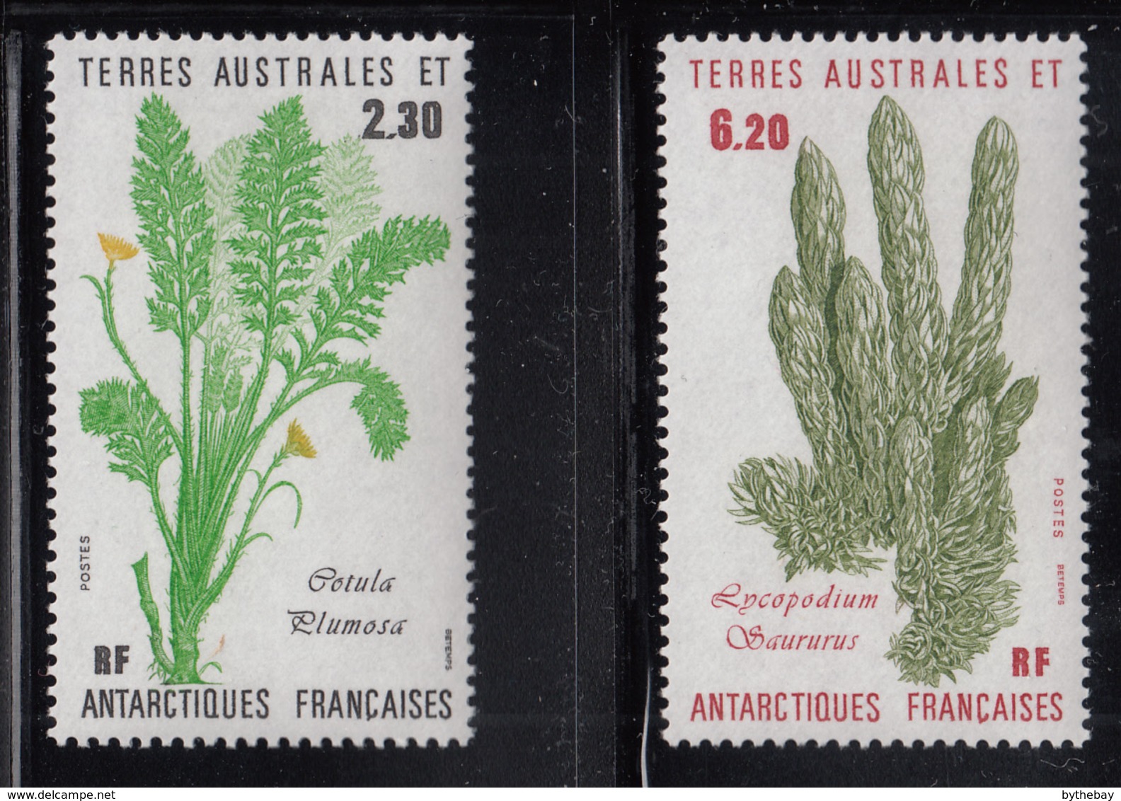 FSAT TAAF 1986 MNH Sc #121-#122 Set Of 2 Cotula Plumosa, Lycopodium Saurus Plants - Neufs