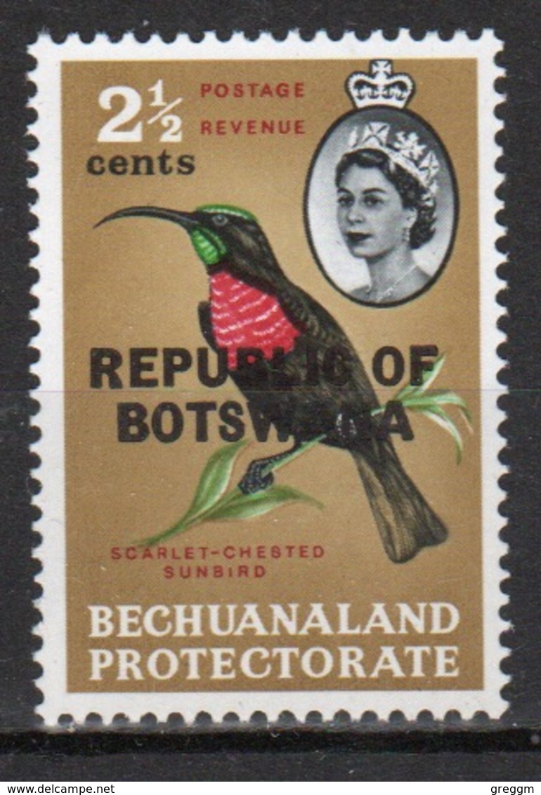 Botswana 2½ Cent 1966 Single Bird Stamp Of Bechuanaland Overprinted 'Republic Of Botswana' - Botswana (1966-...)