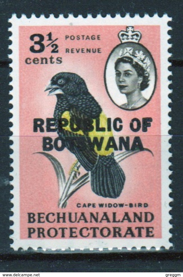 Botswana 3½ Cent 1966 Single Bird Stamp Of Bechuanaland Overprinted 'Republic Of Botswana' - Botswana (1966-...)