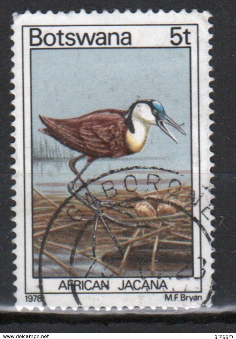 Botswana 1978 Single 5t Definitive Stamp From The Birds Set. - Botswana (1966-...)