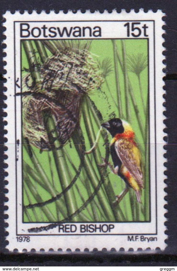 Botswana 1978 Single 15t Definitive Stamp From The Birds Set. - Botswana (1966-...)