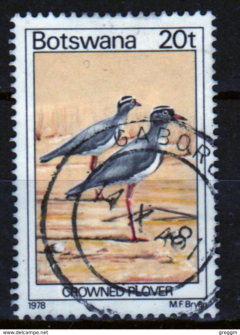 Botswana 1978 Single 20t Definitive Stamp From The Birds Set. - Botswana (1966-...)