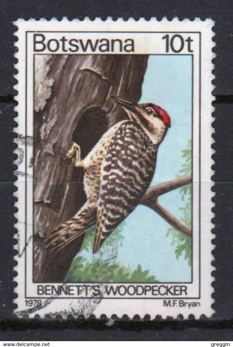 Botswana 1978 Single 10t Definitive Stamp From The Birds Set. - Botswana (1966-...)