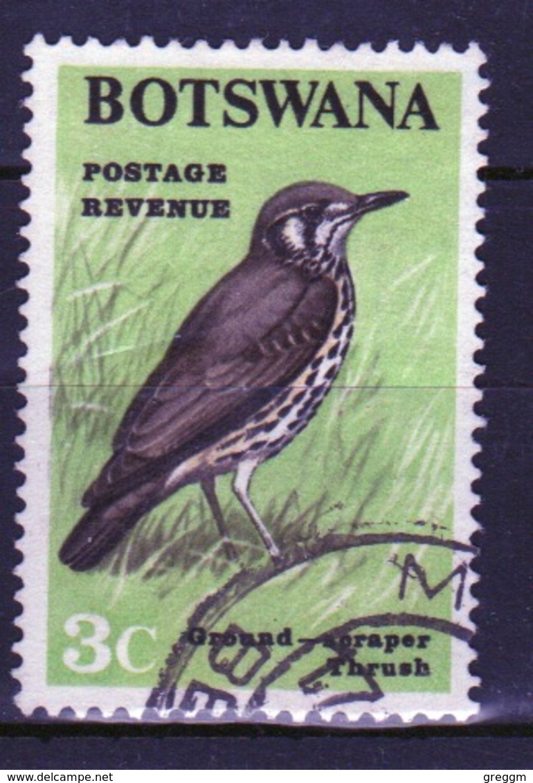 Botswana 3 Cent 1967 Single Bird Stamp From The Definitive Set. - Botswana (1966-...)