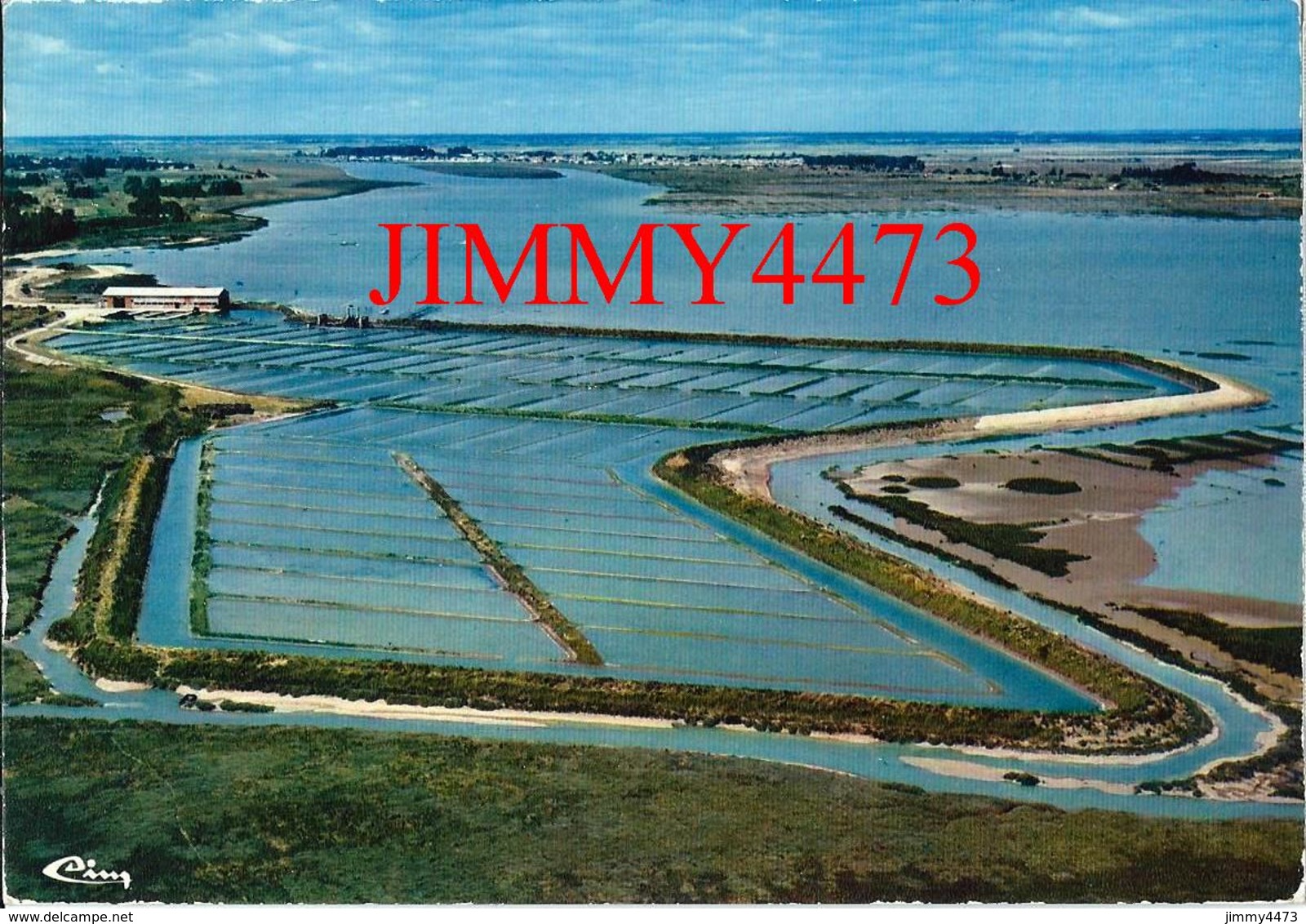 CPM - Claires à Huitres - Vue Aérienne En 1975 - LA FAUTE SUR MER ( Canton De Mareuil ) 85 Vendée - Scans Recto-Verso - Mareuil Sur Lay Dissais