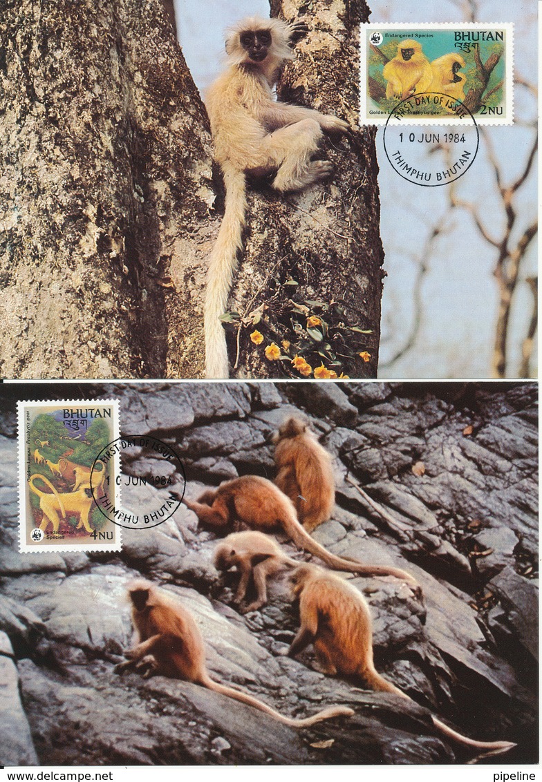 Bhutan Maximum Card 10-6-1984 Set Of 4 Monkeys (Golden Langur) - Cartoline Maximum