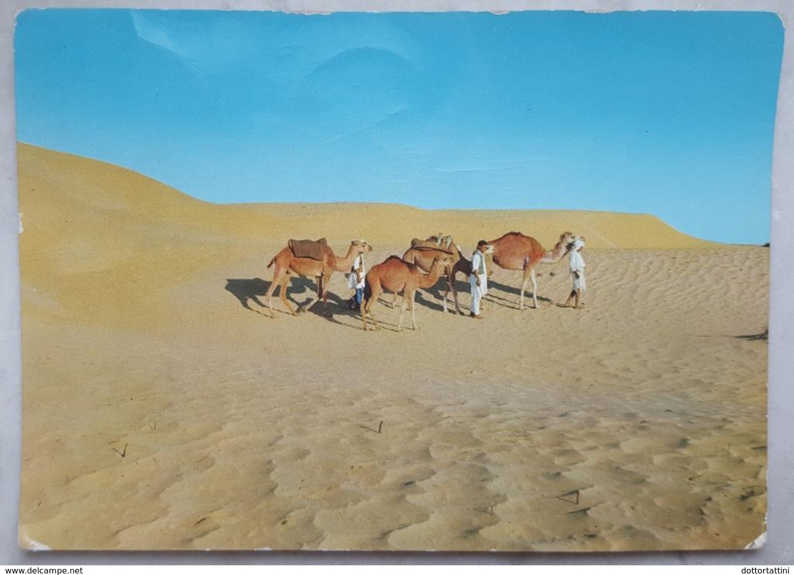 FEZZAN - Carovana - Caravan - Camels LIBYA-  Vg - Libyen